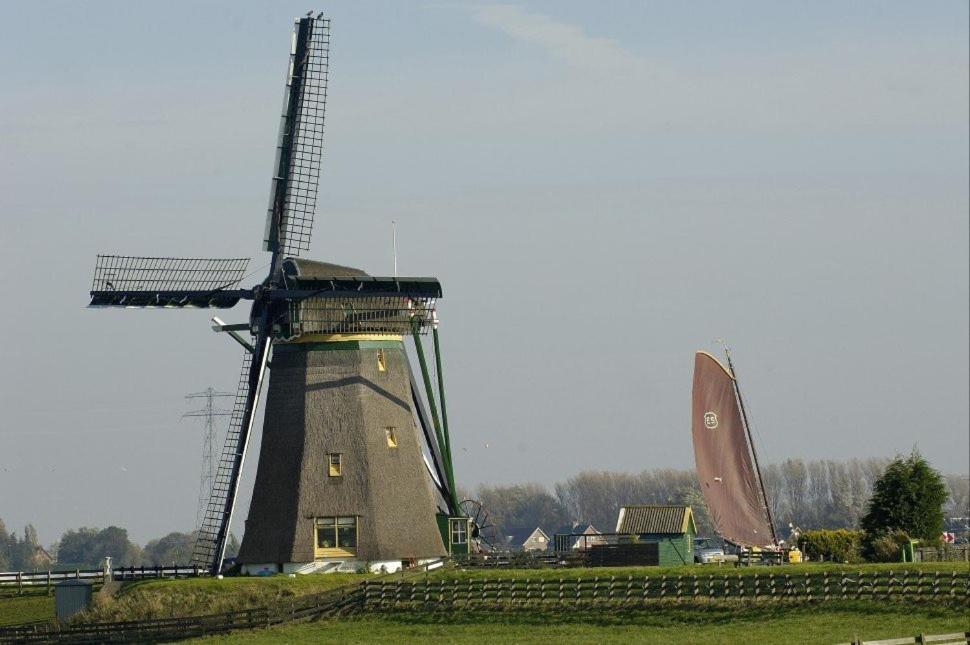 Glamping De Hof Van Eeden Warmond 외부 사진